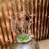 jennifer_cachero - @ang_jhen - TikTok