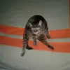 Jennifer Cadena - @jennifercadena41 - TikTok