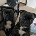 Jennifer Moore Callaghan - Facebook
