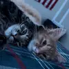 Jennifer Carnegie - @jennifer.carnegie7 - TikTok