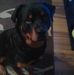 Jennifer Chaisson - Facebook