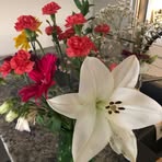 Jennifer Chaisson - Facebook