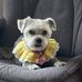 Jennifer Chalker - Facebook