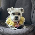 Jennifer Chalker - @lolalue2023 - Instagram