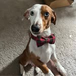 Jennifer Logan Champlin - @princessjennie45 - Instagram