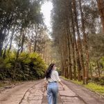 jennifer_chandra - @jennifer_chandracv - Instagram