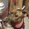 jenniferchatman5 - @jenniferchatman5 - TikTok