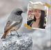 Jennifer Chea - Facebook