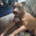 Jennifer Chenoweth - @chenn5 - Instagram