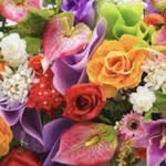 Jennifer Christopherson - @cw23234 - Instagram