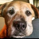 Jen Collette - @jennifer.collette.58 - Instagram