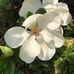 Jennie Conyers - Facebook
