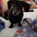 Jennifer Conyers Hatley - Facebook