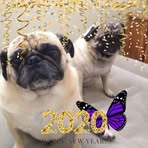 Jennifer Copp - Facebook