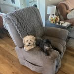 Jennifer Corwin - @jennifercorwin16 - Instagram