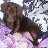 jenniferculbert82 - @jenniferculbert82 - TikTok
