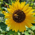 Jennifer Culp - Facebook