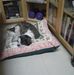 Jenny Danker - Facebook