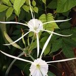 Jennifer Darst - @darstjennifer - Instagram