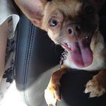 Jennifer Darst - @jdarst8904a - Instagram