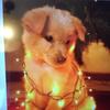 user8108820788088 - @jenniferdarstt - TikTok