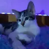 jenniferdart276 - @jenniferdart276 - TikTok