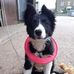 Jenny Daw - Facebook