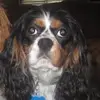 jennifer deck - @jenniferdeck63 - TikTok