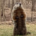Jennifer Demarest - @fafalina19 - Instagram