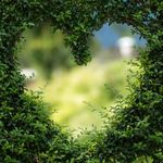 Jennifer Denning - @jenniferdenning1951 - Instagram