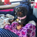 Jennifer Denning - @liltruckinghottie - Instagram