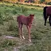 Jendev - @jennifer.devlin - TikTok