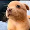Jennifer - @jenniferdioniocio78 - TikTok
