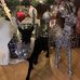 Jennifer Dockens - Facebook