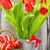 Jennifer Tok - Facebook