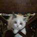Jennifer Doering - Facebook