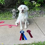 Jennifer Doering-hooey - @doeringhooey - Instagram
