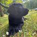 Jennifer Dohm - Facebook