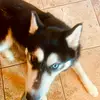 Jennifer Dohmen - @jennifer.dohmen - TikTok