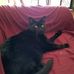 Jenny Dronsfield - Facebook