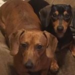 Jennifer Buxton Eady - @jennifeready75 - Instagram