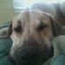 Jennifer Ecker - Facebook