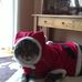 Jennifer Eggert - Facebook