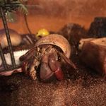 Jennifer Eggert - @jeneggs1 - Instagram
