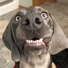 Jennifer Eiden - @jennifereiden - TikTok
