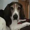 jennifereidem32 - @jennifereidem32 - TikTok
