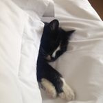 Jennifer Eisen - @smellmyyyhand - Instagram