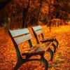 jennieferisolde433 - @jennieferisolde433 - TikTok