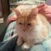 Jennifer Eisold - Facebook