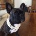 Jennifer Eldred - Facebook